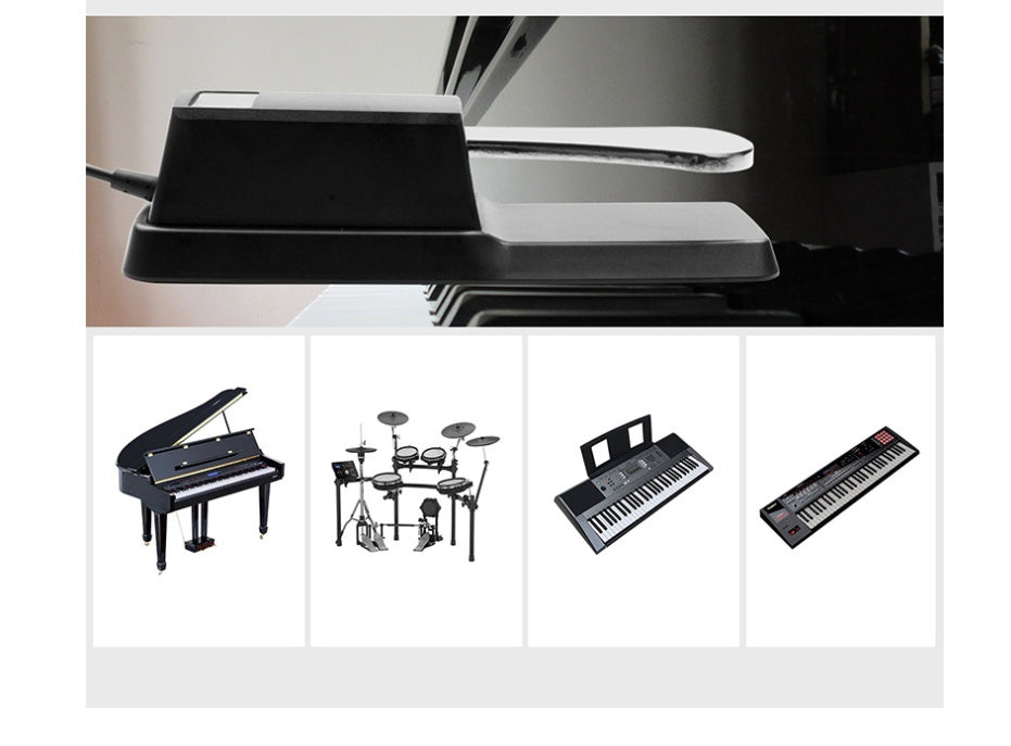 Universal sustain pedal for electronic piano and electric piano AMI Cart