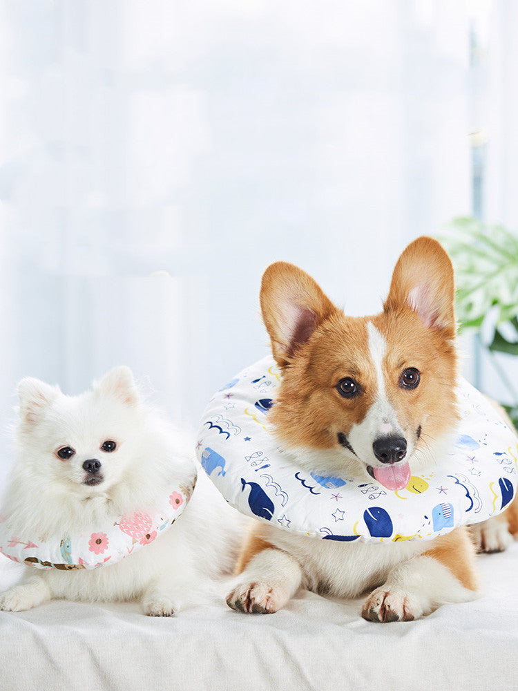 Dog soft loop cat neck set AMI Cart