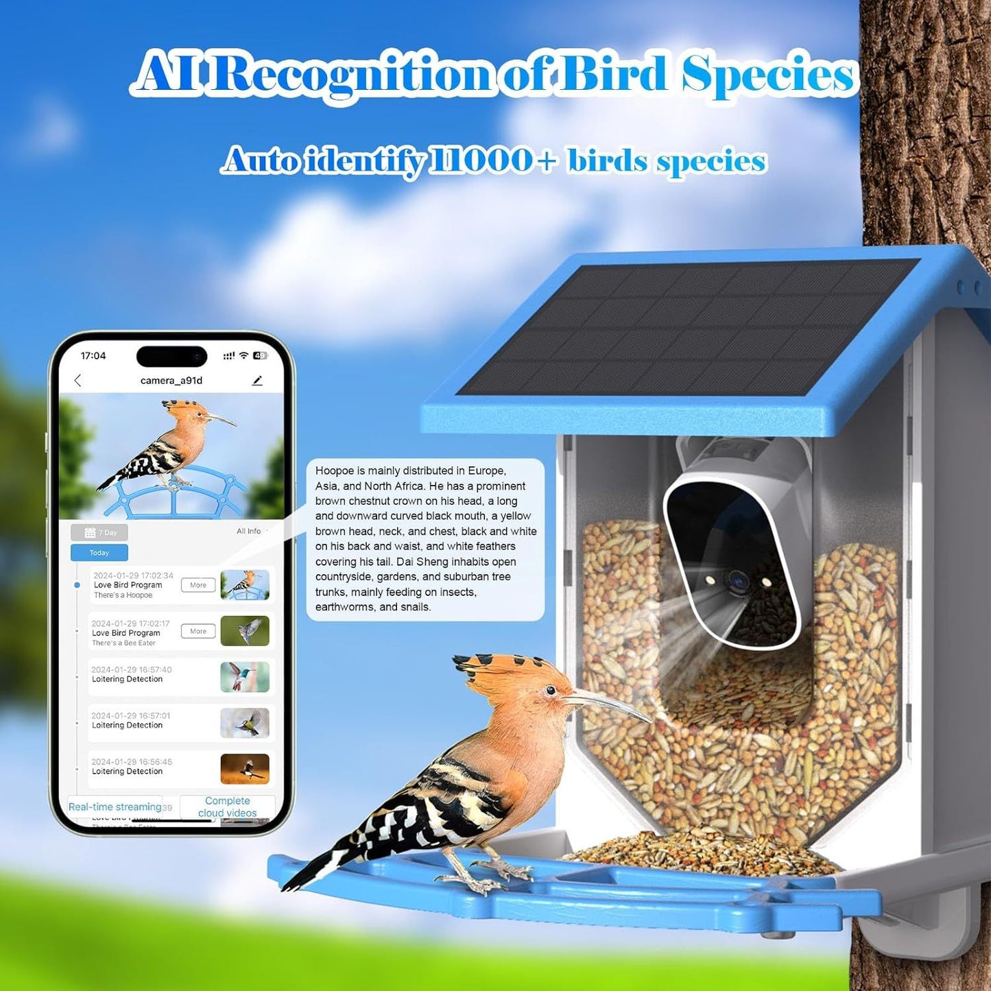 Smart Bird Feeder With Camera,Solar-Powered WiFi 4MP Live Camera,