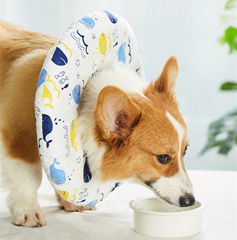 Dog soft loop cat neck set AMI Cart