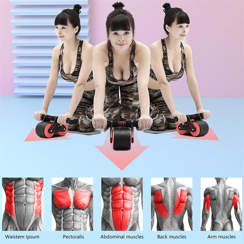 Double Wheel Abdominal Exerciser Women Men AMI Cart