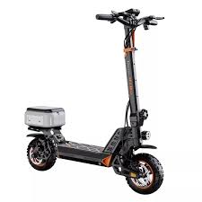 RuiToo RT6 1000W powerful 48V18.2AH Drive Electric scooters electr 10inch Tires Folding eScooter For Adult Raycool - Chic Cart