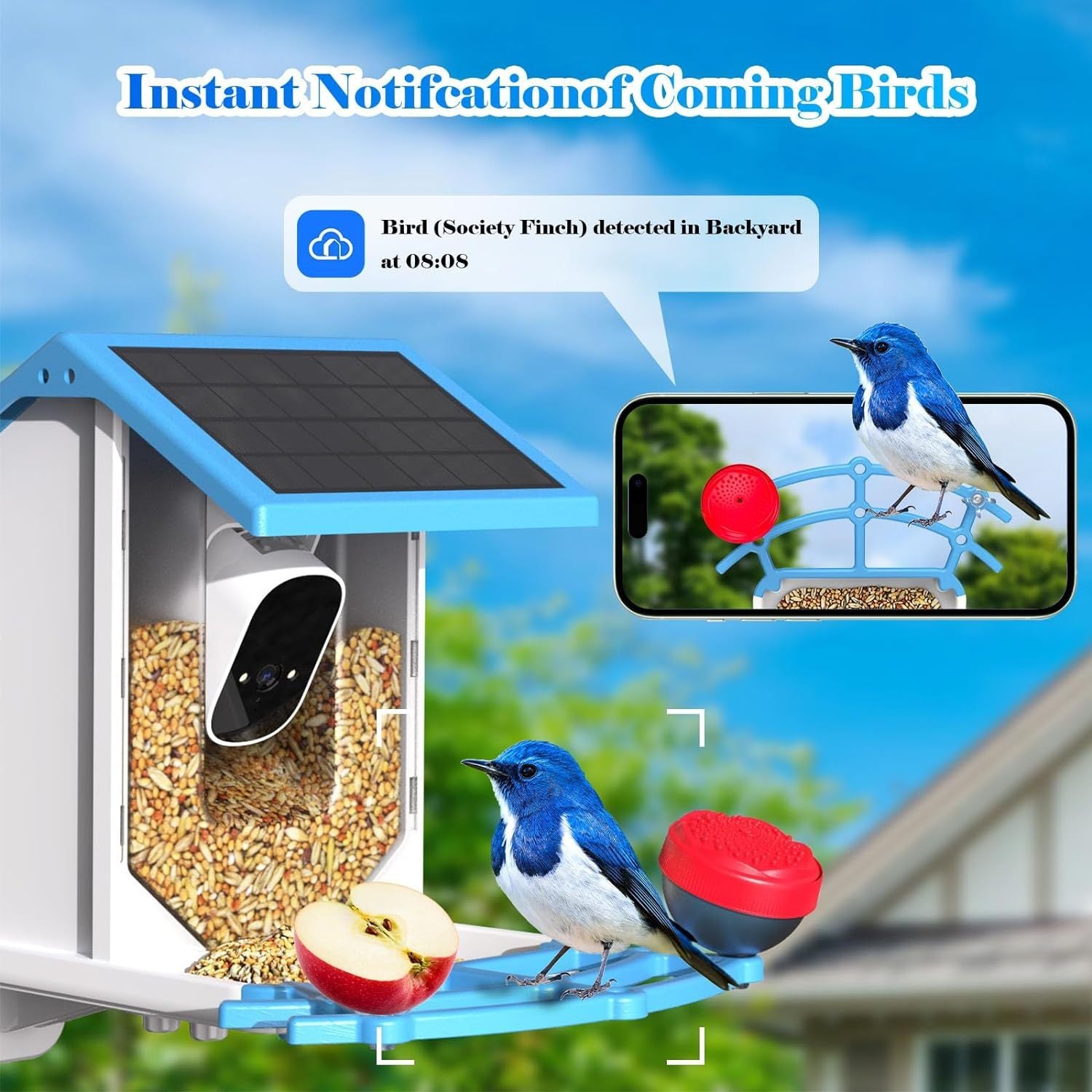 Smart Bird Feeder With Camera,Solar-Powered WiFi 4MP Live Camera,