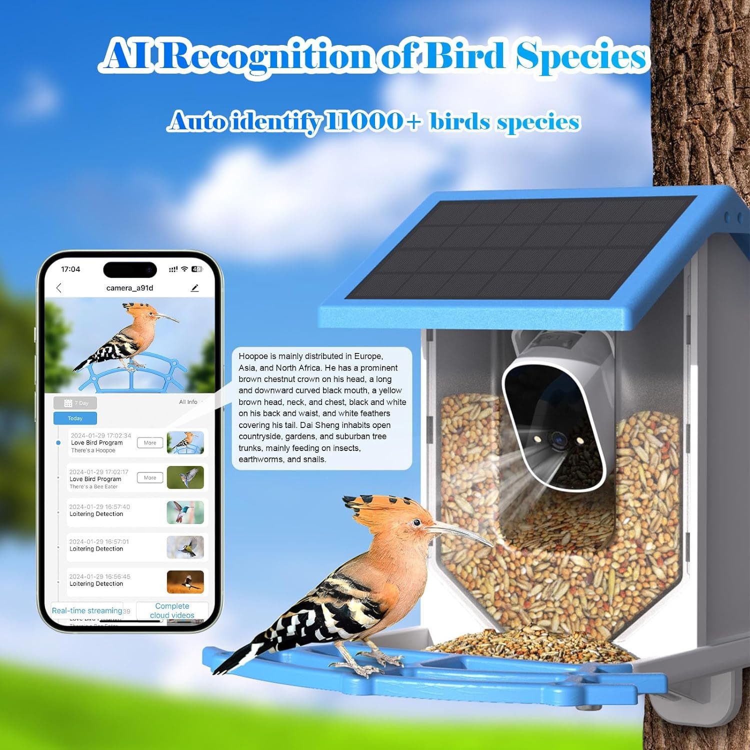 Smart Bird Feeder With Camera,Solar-Powered WiFi 4MP Live Camera,