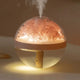 270ml USB Rechargeable Air Humidifier with LED Light and Mist Function