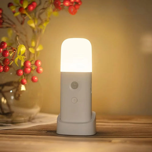 LED Motion Sensor Night Light USB Rechargeable and Dimmable