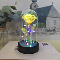 Eternal Rose LED Foil Flower Valentines Day Gift for Girlfriend