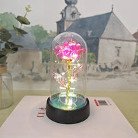 Eternal Rose LED Foil Flower Valentines Day Gift for Girlfriend