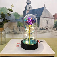 Eternal Rose LED Foil Flower Valentines Day Gift for Girlfriend