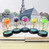 Eternal Rose LED Foil Flower Valentines Day Gift for Girlfriend