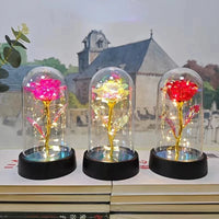 Eternal Rose LED Foil Flower Valentines Day Gift for Girlfriend