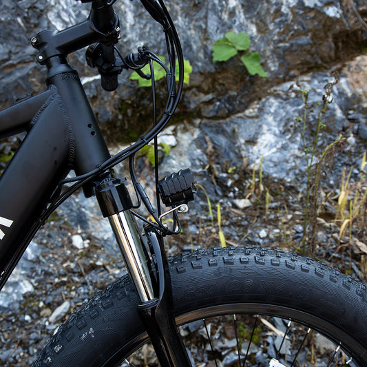 Electric Bike For Adults, 26 X 4.0 Inches Fat Tire Electric Mountain Bicycle,