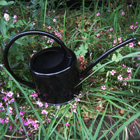 Watering Iron Sheet Watering Pot Gardening Garden
