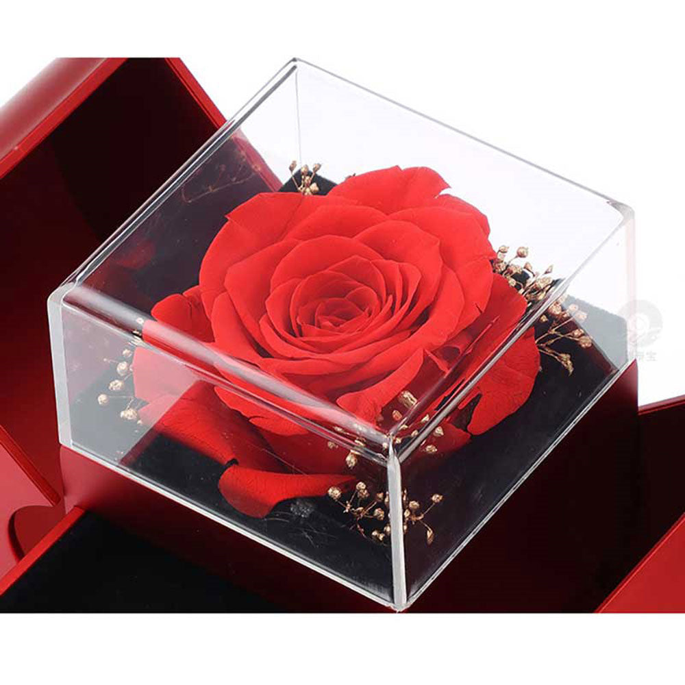 Red Apple Jewelry Box with Eternal Rose and Necklace