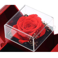 Red Apple Jewelry Box with Eternal Rose and Necklace