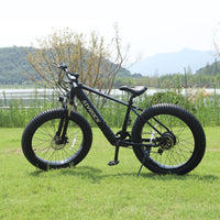Electric Bike For Adults, 26 X 4.0 Inches Fat Tire Electric Mountain Bicycle,