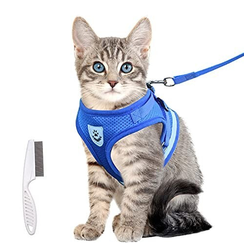 1749103097684131f9eafa15960991