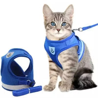 1749103097684131f90c8777394970