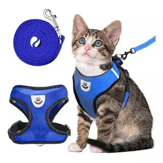 1749103097684131f9940057423258