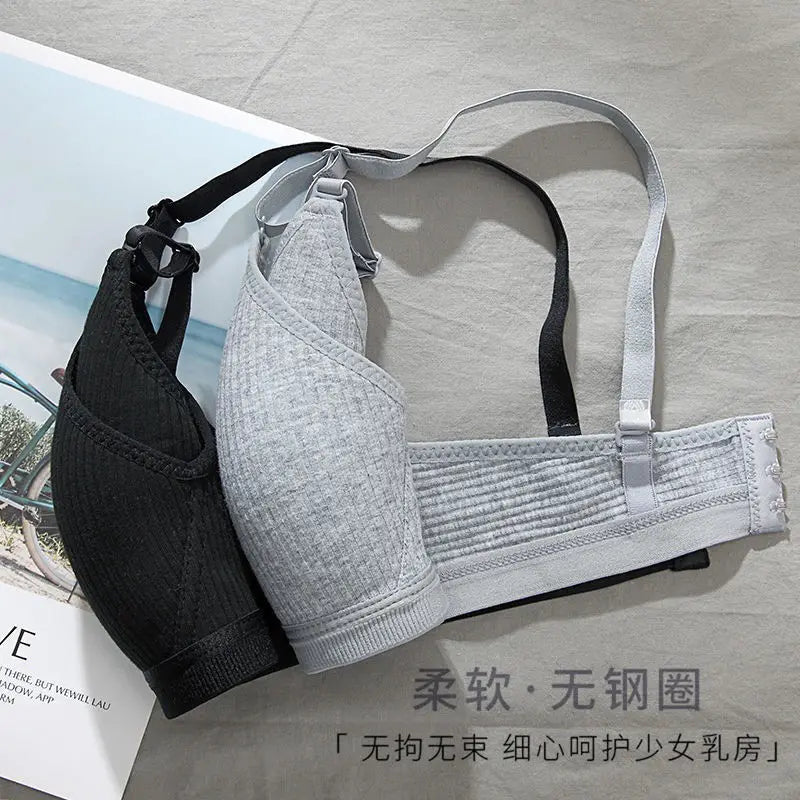 S691668ea3af34c4093c61753b9d25bd6P