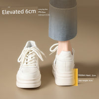 S29f67e5162ef4c1cbd195bef3661783aX