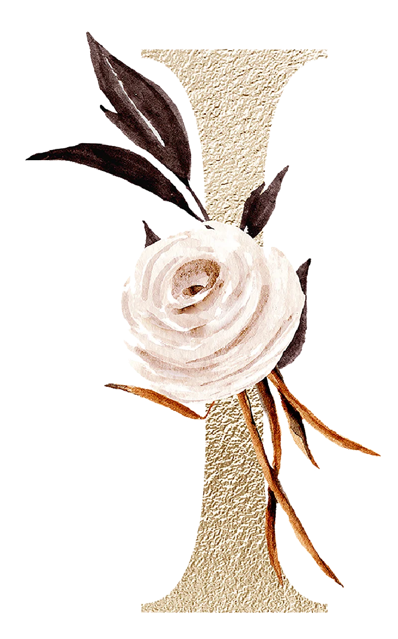 S2ed2dbaac5c24b62b68cfd2601c3bd12T