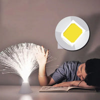 Scc58696cb07d4d7f9ddc7049b48035e8t