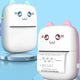 Mini Printer Portable Mini Bluetooth WiFi New Wrong Printe