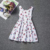 Children's Skirt Lace Long-sleeved Girls