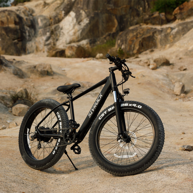 Electric Bike For Adults, 26 X 4.0 Inches Fat Tire Electric Mountain Bicycle,