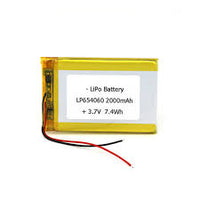 2000mAh Rechargeable Lithium Polymer Battery 3.7V