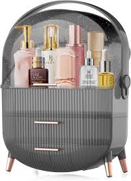 Accessible Luxury Fancy Cosmetic Shelf