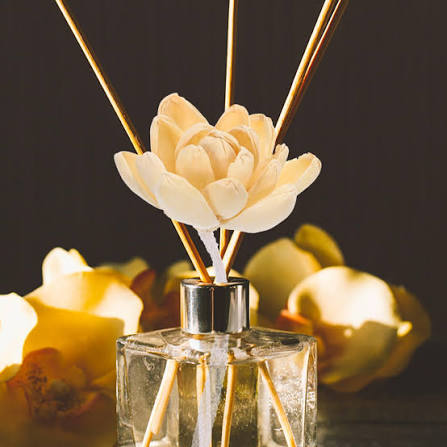 Aromatherapy Bedroom Lasting Home Room Fragrance
