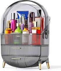 Accessible Luxury Fancy Cosmetic Shelf